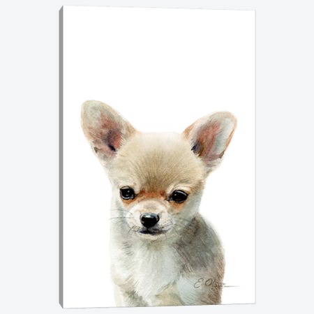 Chihuahua Puppy Canvas Print #WLU24} by Watercolor Luv Art Print