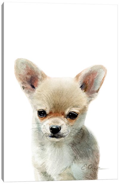 Chihuahua Puppy Canvas Art Print - Watercolor Luv