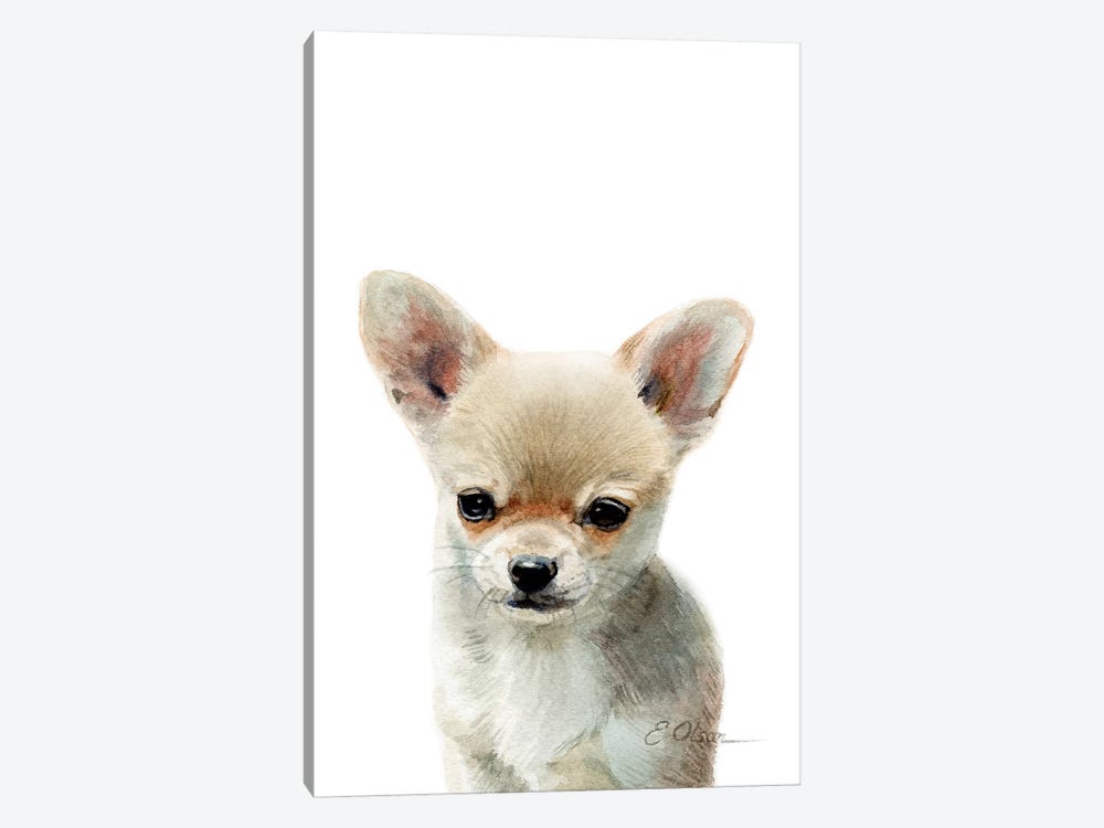 Chihuahua Puppy by Watercolor Luv 1-piece Canvas Artwork