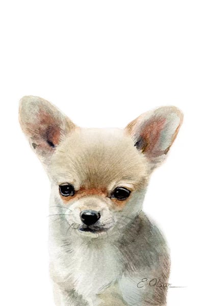 Puppies: Chihuahua Puppy by Watercolor Luv