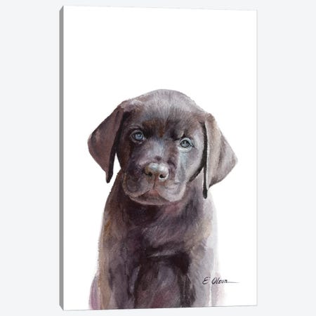 Chocolate Lab Puppy Canvas Print #WLU26} by Watercolor Luv Canvas Print