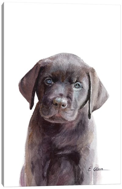 Chocolate Lab Puppy Canvas Art Print - Watercolor Luv