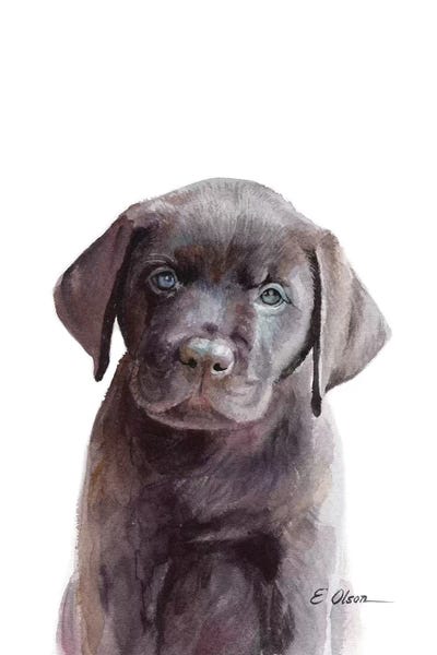 Puppies: Chocolate Lab Puppy by Watercolor Luv