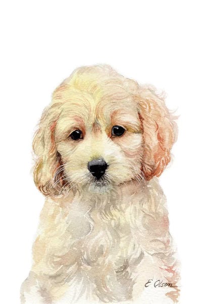 cockapoo wall art