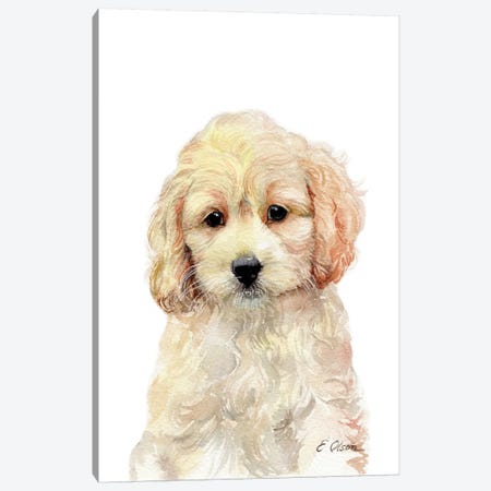 Cockapoo Puppy Canvas Print #WLU28} by Watercolor Luv Canvas Artwork