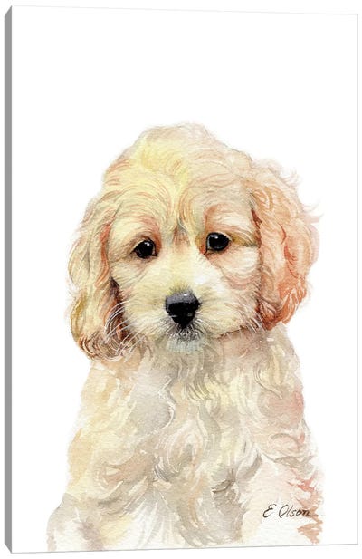 Cockapoo Puppy Canvas Art Print - Watercolor Luv