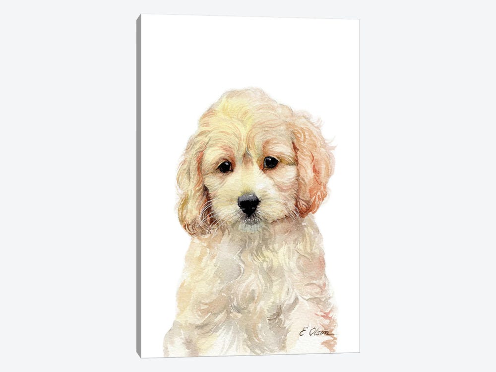 Cockapoo Puppy by Watercolor Luv 1-piece Canvas Art