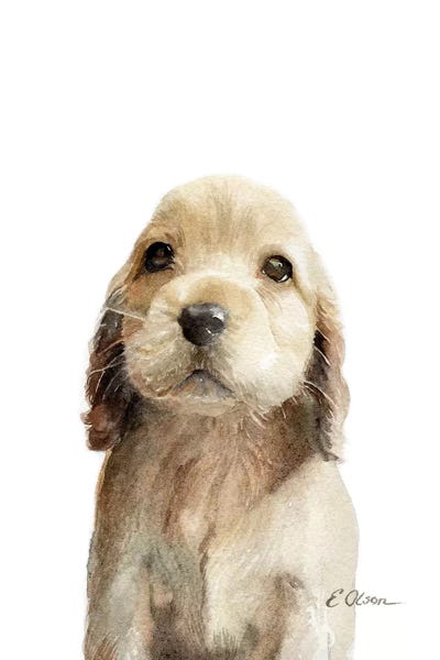 cocker spaniel canvas art