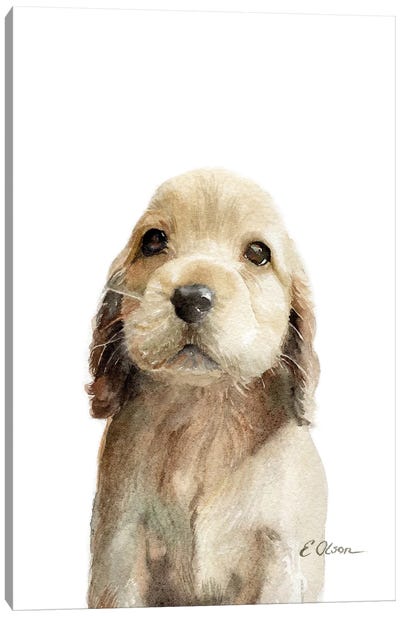Cocker Spaniel Puppy Canvas Art Print - Puppy Art