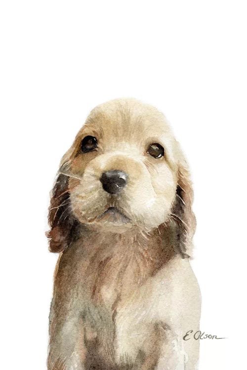 Cocker Spaniel Puppy by Watercolor Luv wall art