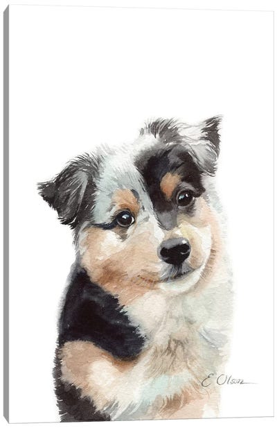 Australian Shepherd Puppy Canvas Art Print - Watercolor Luv