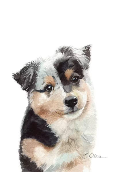 Australian Shepherds: Australian Shepherd Puppy by Watercolor Luv