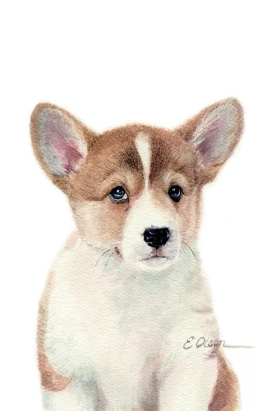 Corgis: Corgi Puppy by Watercolor Luv