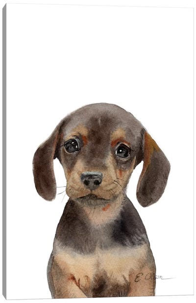 Dachshund Puppy Canvas Art Print - Watercolor Luv