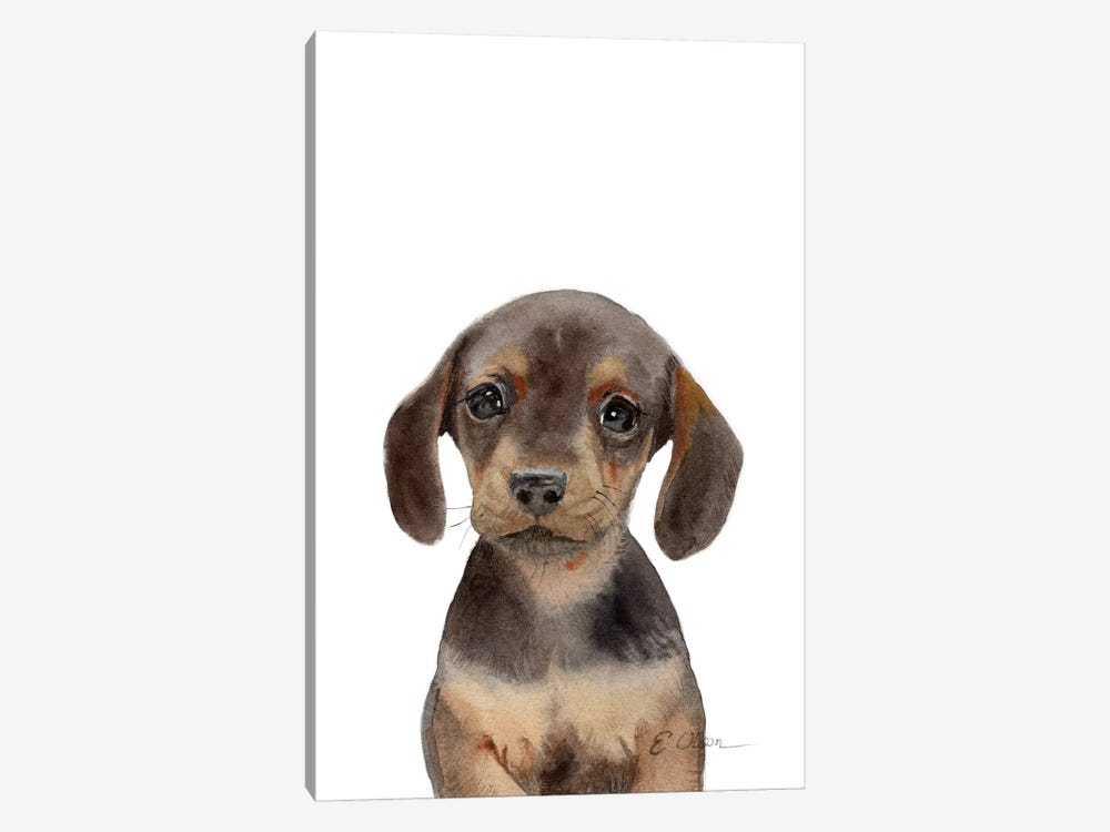 Dachshund Puppy by Watercolor Luv 1-piece Canvas Artwork