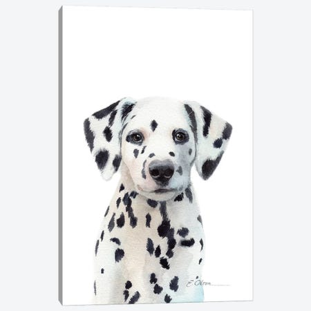 Dalmatian Puppy Canvas Print #WLU32} by Watercolor Luv Canvas Art Print