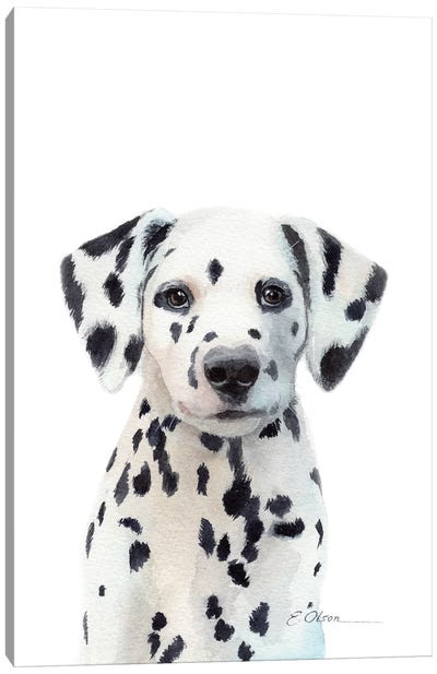 Dalmatian Puppy Canvas Art Print - Puppy Art