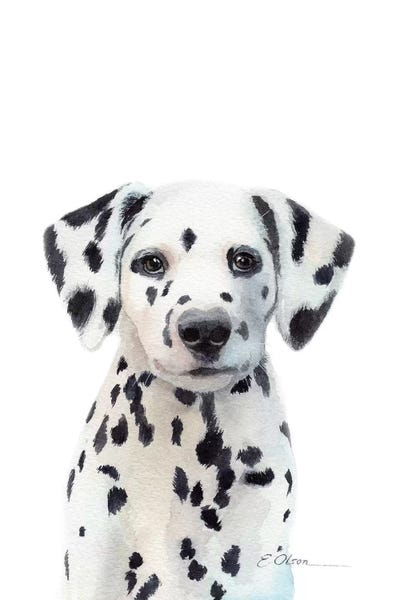 Dalmatians: Dalmatian Puppy by Watercolor Luv