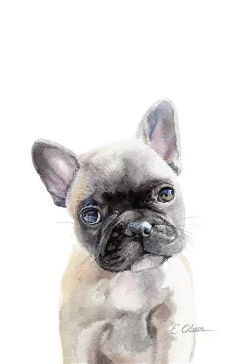 French Bulldog Puppy Canvas Artwork by Watercolor Luv | iCanvas