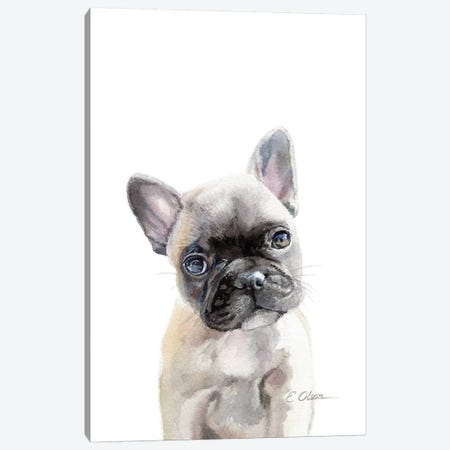 French Bulldog Puppy Canvas Print #WLU33} by Watercolor Luv Canvas Print