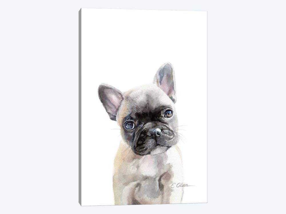 French Bulldog Puppy by Watercolor Luv 1-piece Canvas Art