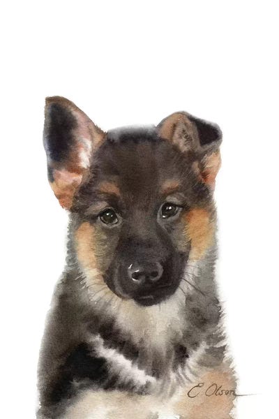 German Shepherds: German Shepherd Puppy by Watercolor Luv