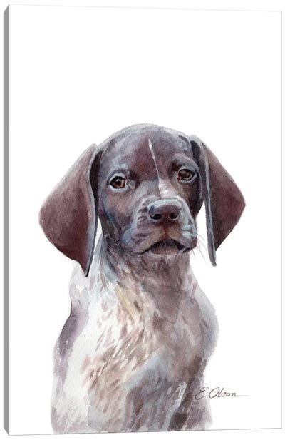German Shorthaired Pointer Puppy Canvas Art Print - Puppy Art
