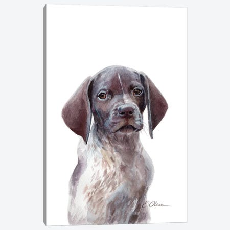 German Shorthaired Pointer Puppy Canvas Print #WLU35} by Watercolor Luv Canvas Artwork