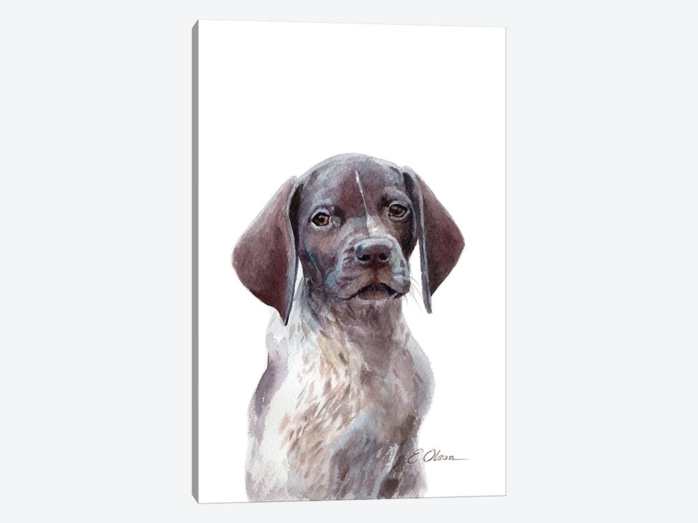 German Shorthaired Pointer Puppy by Watercolor Luv 1-piece Canvas Artwork