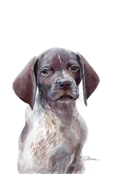 German Shorthaired Pointers: German Shorthaired Pointer Puppy by Watercolor Luv