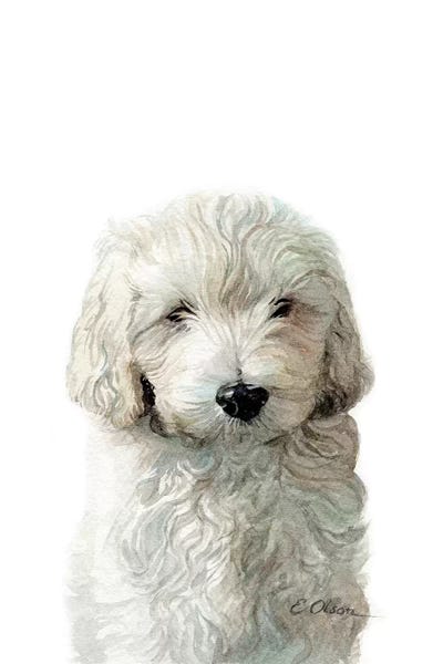 Golden Doodle Puppy by Watercolor Luv art print