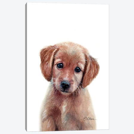 Golden Retriever Puppy Canvas Print #WLU37} by Watercolor Luv Canvas Wall Art