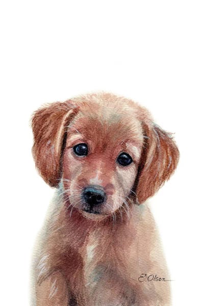 Puppies: Golden Retriever Puppy by Watercolor Luv