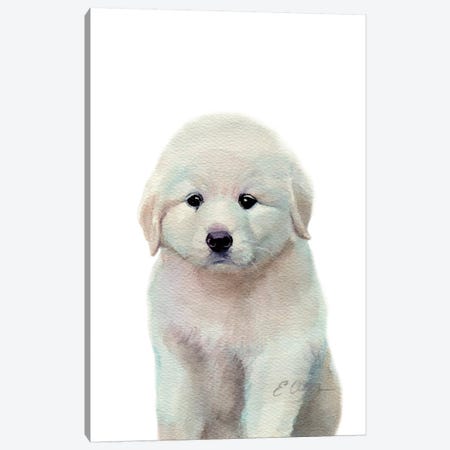 Great Pyrenees Puppy Canvas Print #WLU38} by Watercolor Luv Canvas Print