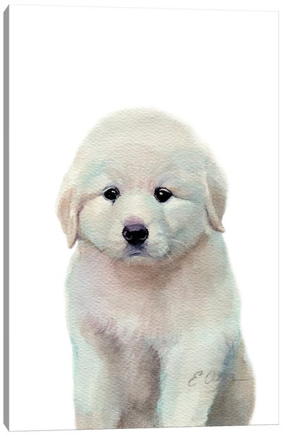 Great Pyrenees Puppy Canvas Art Print - Watercolor Luv