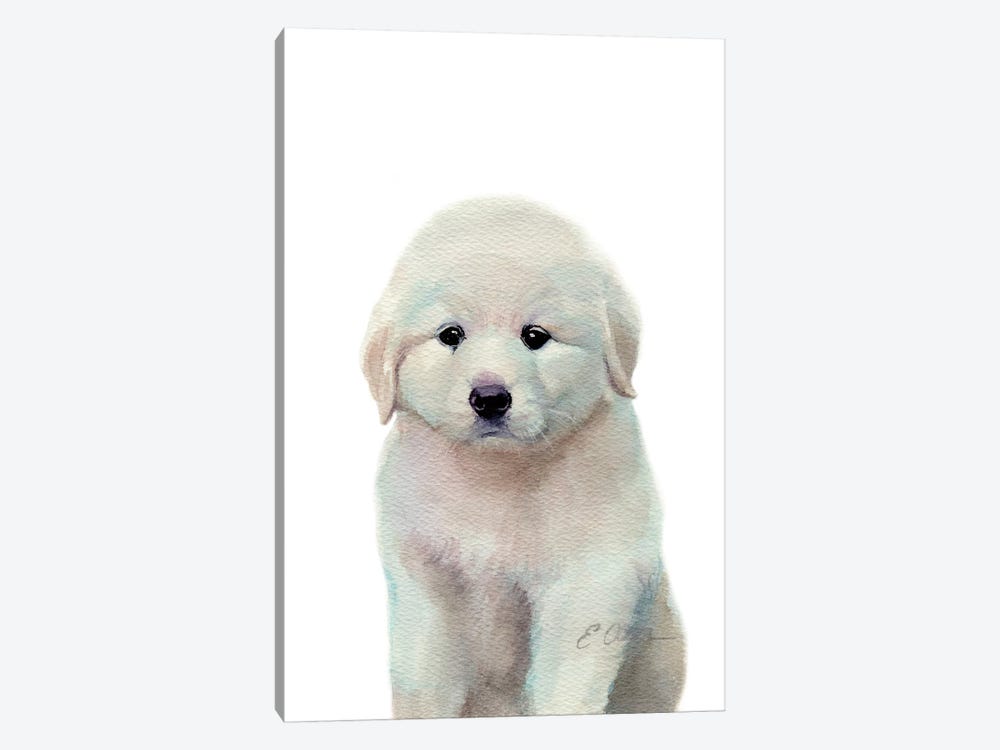 Great Pyrenees Puppy by Watercolor Luv 1-piece Canvas Art Print