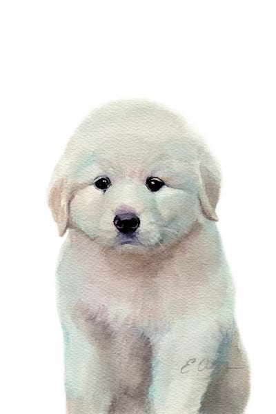 Puppies: Great Pyrenees Puppy by Watercolor Luv