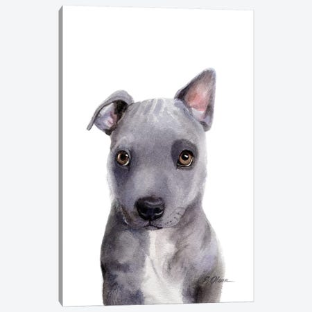 Grey Mixed Breed Puppy Canvas Print #WLU39} by Watercolor Luv Art Print