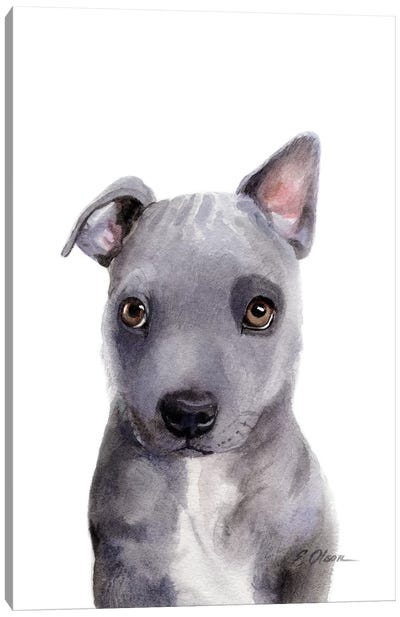 Grey Mixed Breed Puppy Canvas Art Print - Watercolor Luv