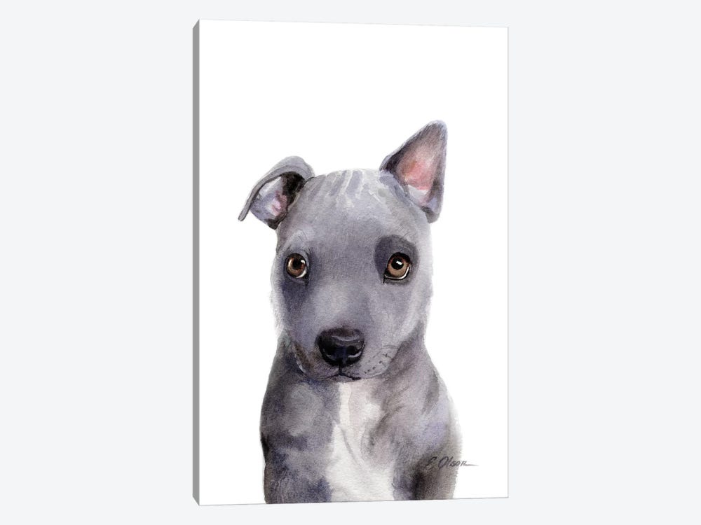 Grey Mixed Breed Puppy by Watercolor Luv 1-piece Canvas Wall Art