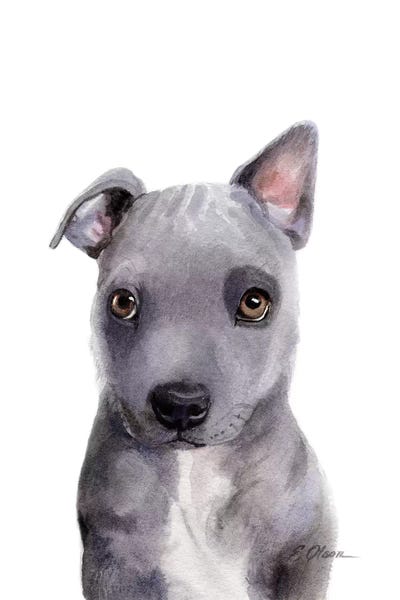 Crossbreeds: Grey Mixed Breed Puppy by Watercolor Luv