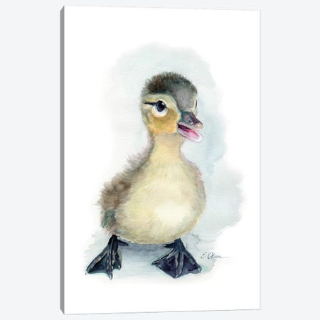 Baby Duckling Canvas Print #WLU3} by Watercolor Luv Canvas Art Print