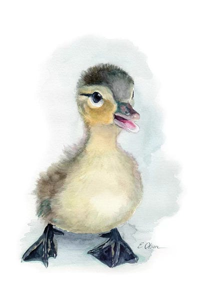 Baby Animals: Baby Duckling by Watercolor Luv