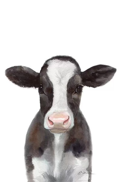Baby Animals: Holstein Calf by Watercolor Luv