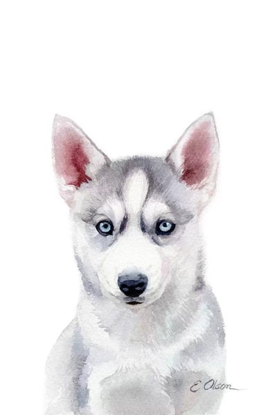 Husky Puppy by Watercolor Luv framed canvas print