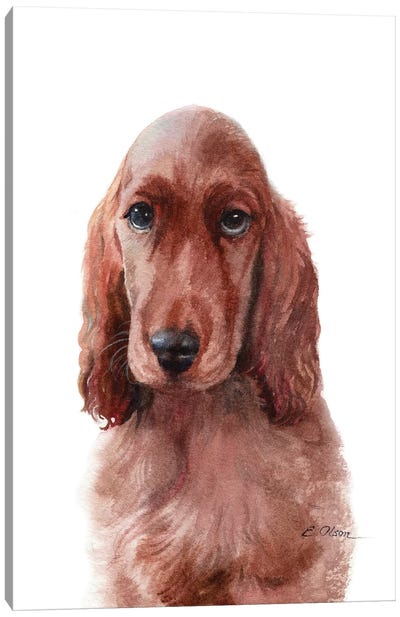 Irish Setter Puppy Canvas Art Print - Watercolor Luv