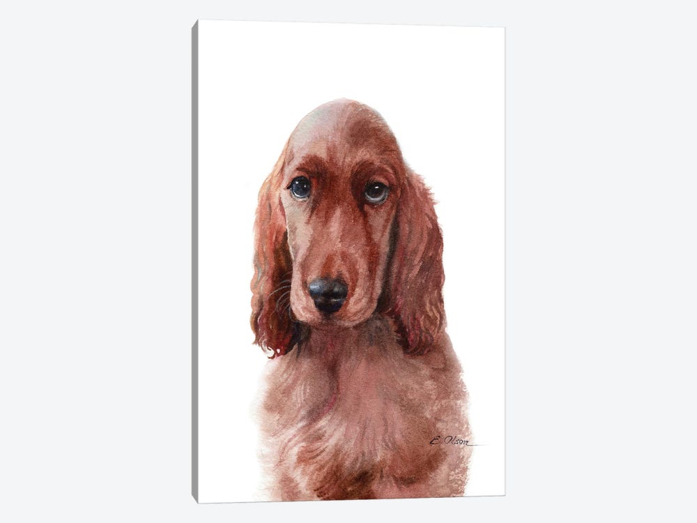 Irish Setter Puppy by Watercolor Luv 1-piece Canvas Wall Art