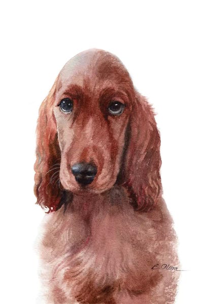 Irish Setters: Irish Setter Puppy by Watercolor Luv