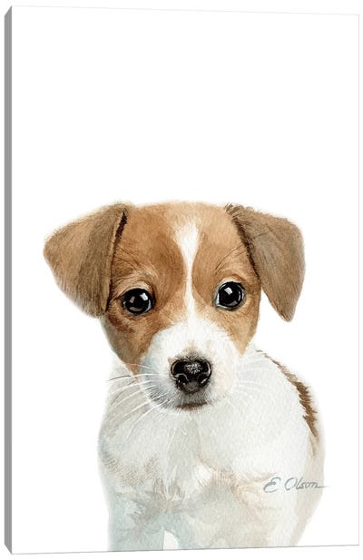 Jack Russell Terrier Puppy Canvas Art Print - Jack Russell Terrier Art