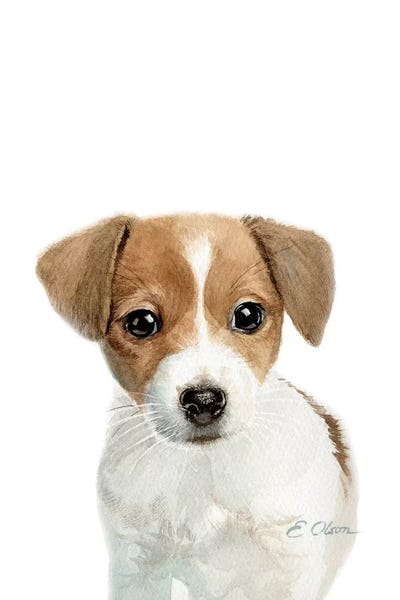 Terriers: Jack Russell Terrier Puppy by Watercolor Luv
